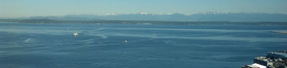 Seattle Office View