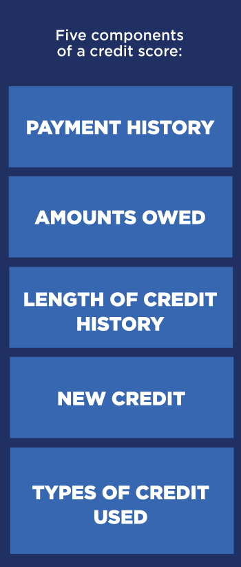 for bureaus report all credit three