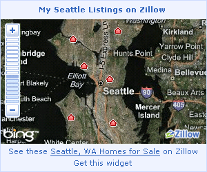 Example Widget
