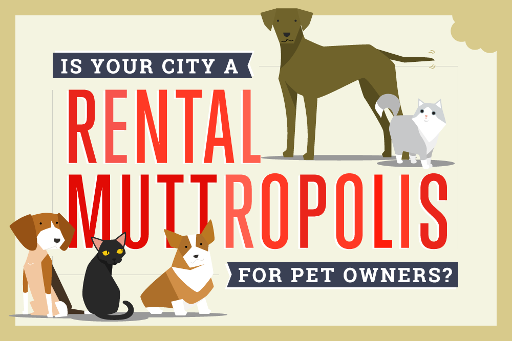 Is Your City a Rental Muttropolis for Pet Owners?