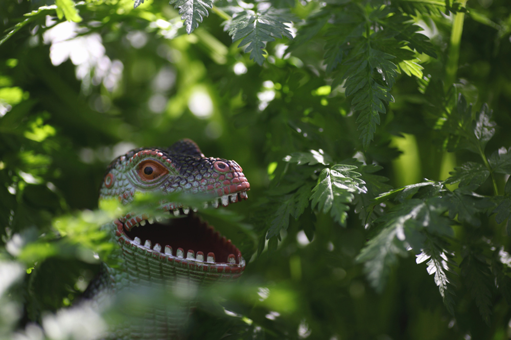 dinosaur in grass
