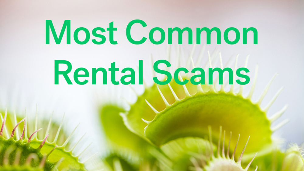 common rental scams