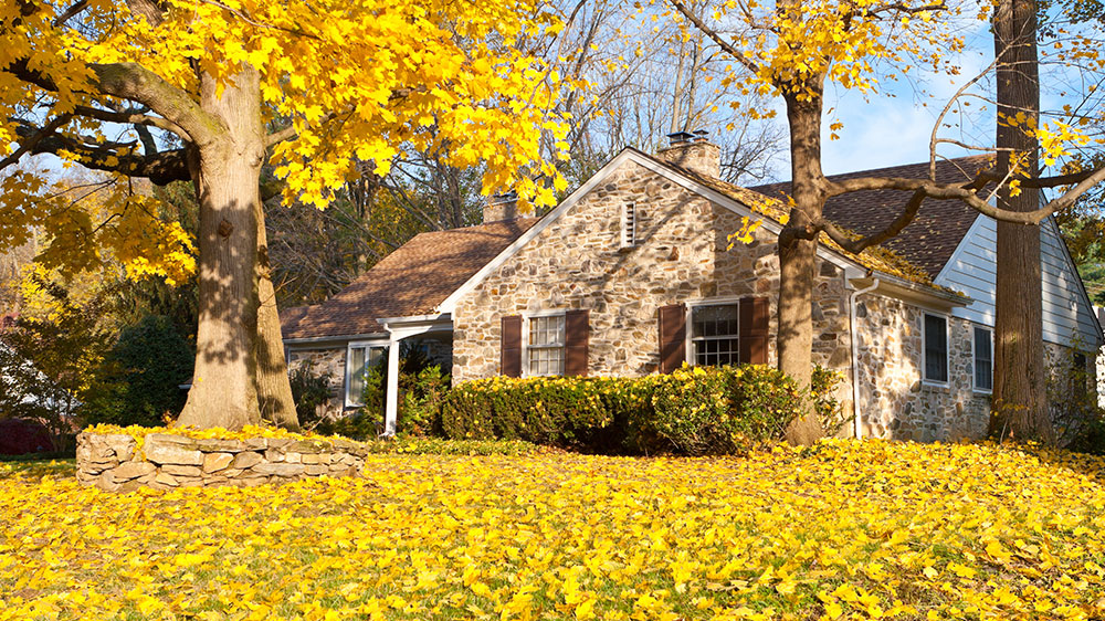 house for sale on the fall real estate market