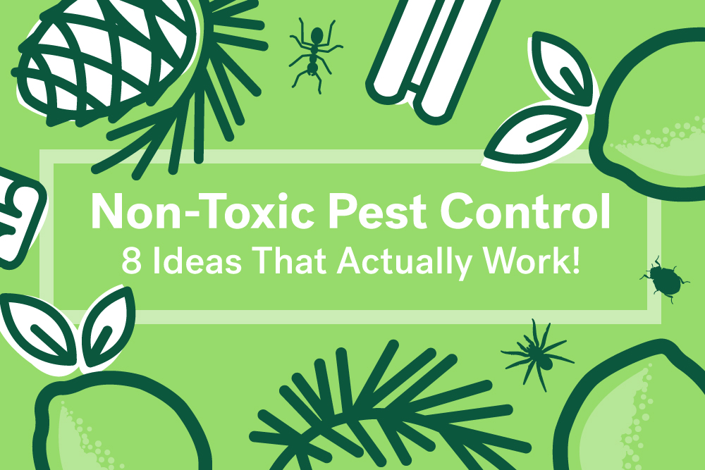 natural pest control ideas