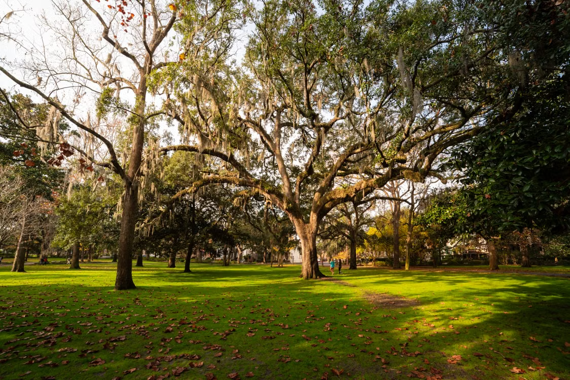 Photo of Savannah, GA