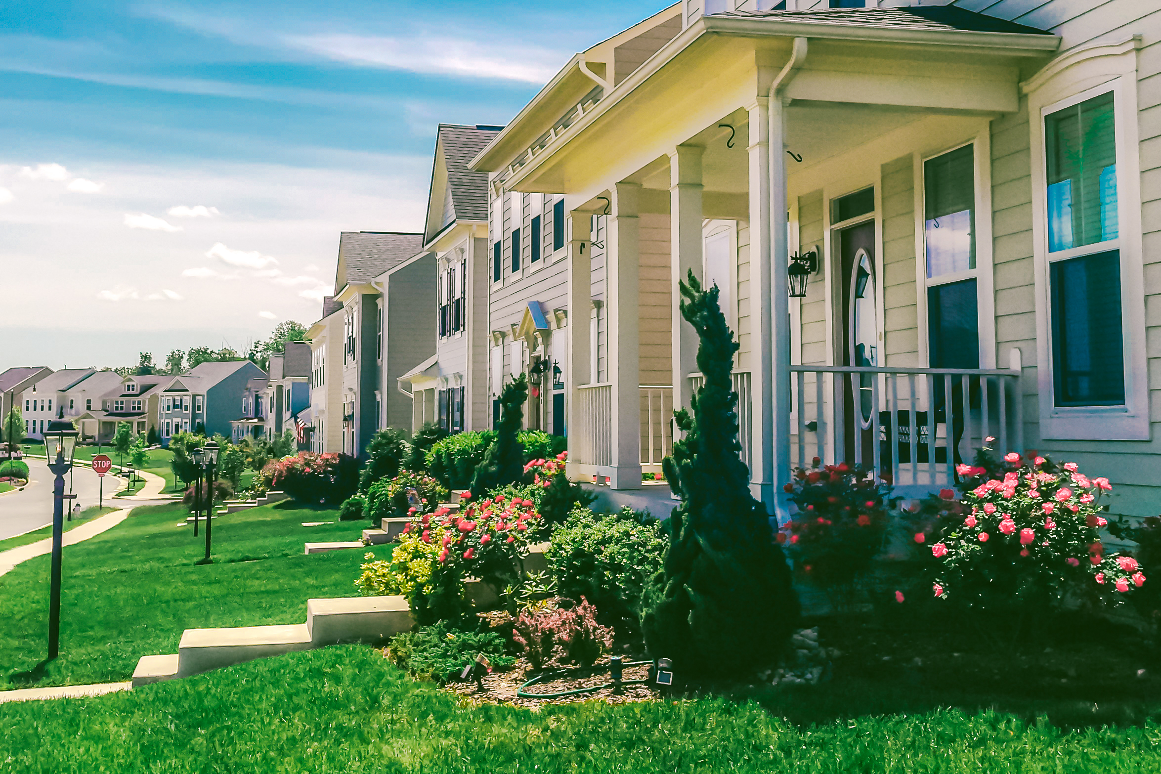 A row of detached homes in an idyllic community in Fredericksburg, Virginia