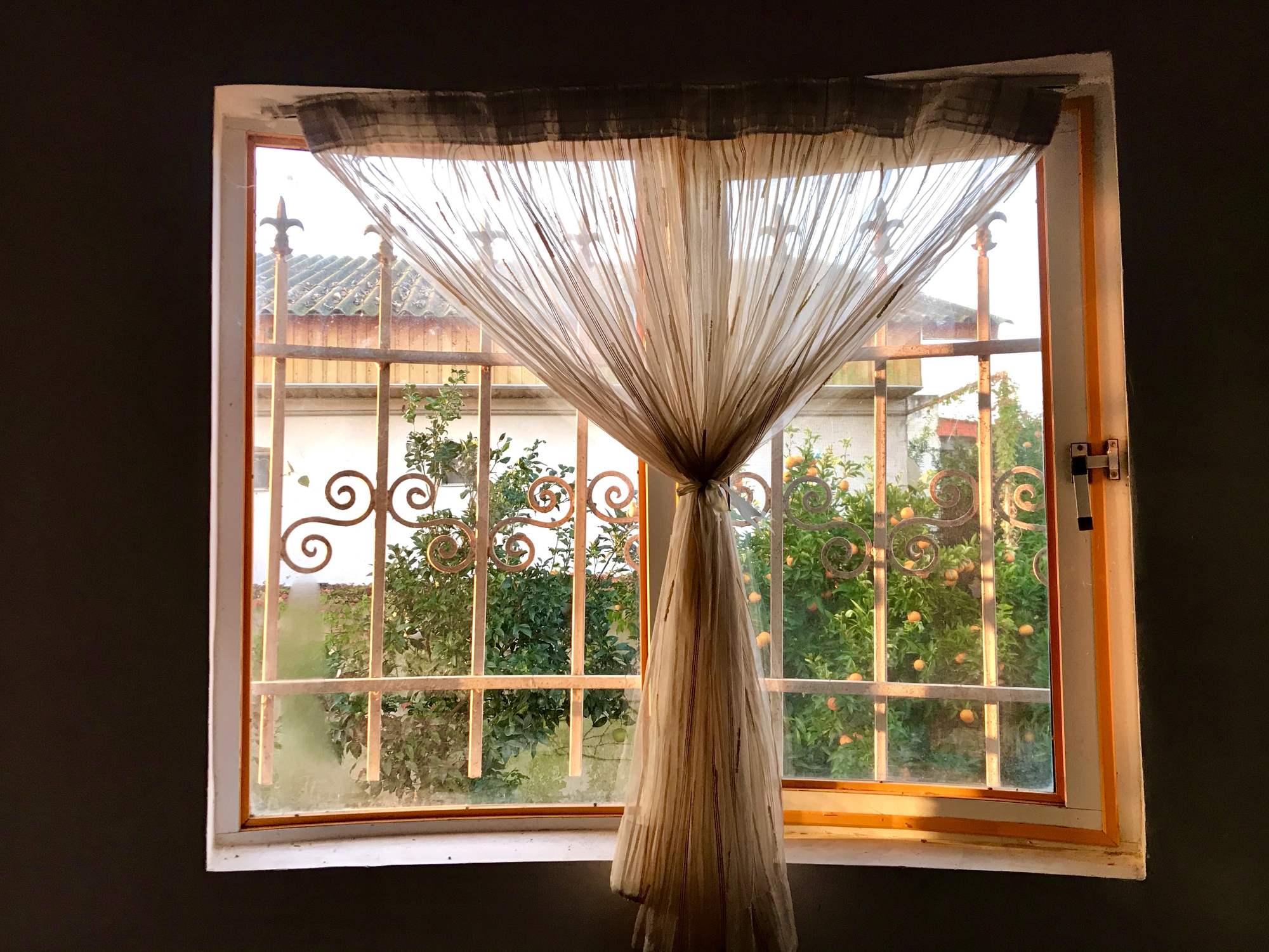 looking out a window of an apartment, gauze curtain partially covers glass