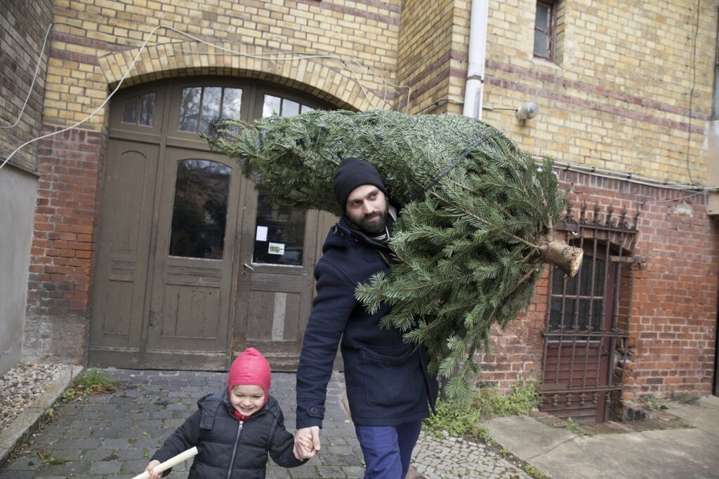man with child carrying christmas tree - maintain a Christmas tree in an NYC apartment
