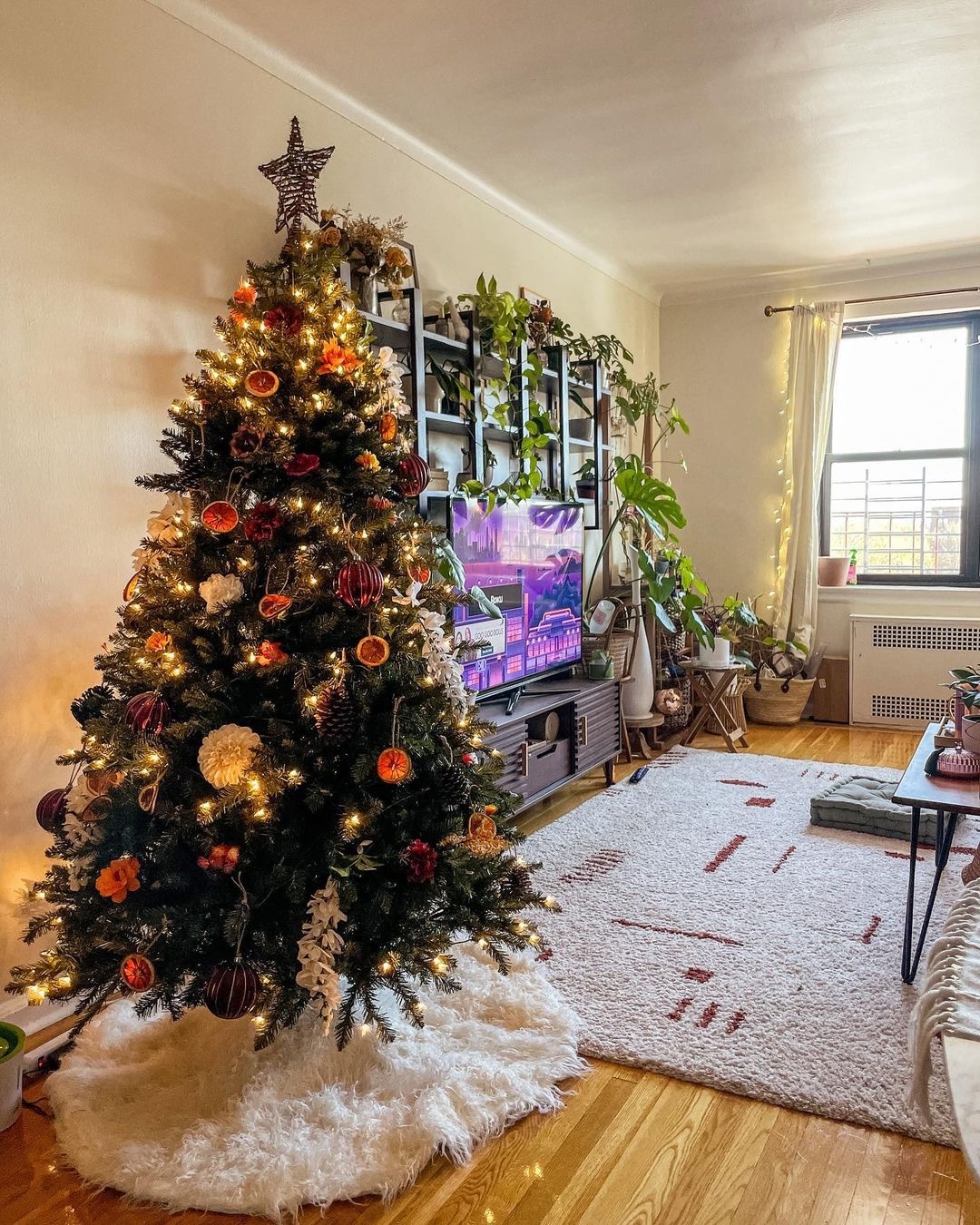 maintain a Christmas tree in an NYC apartment