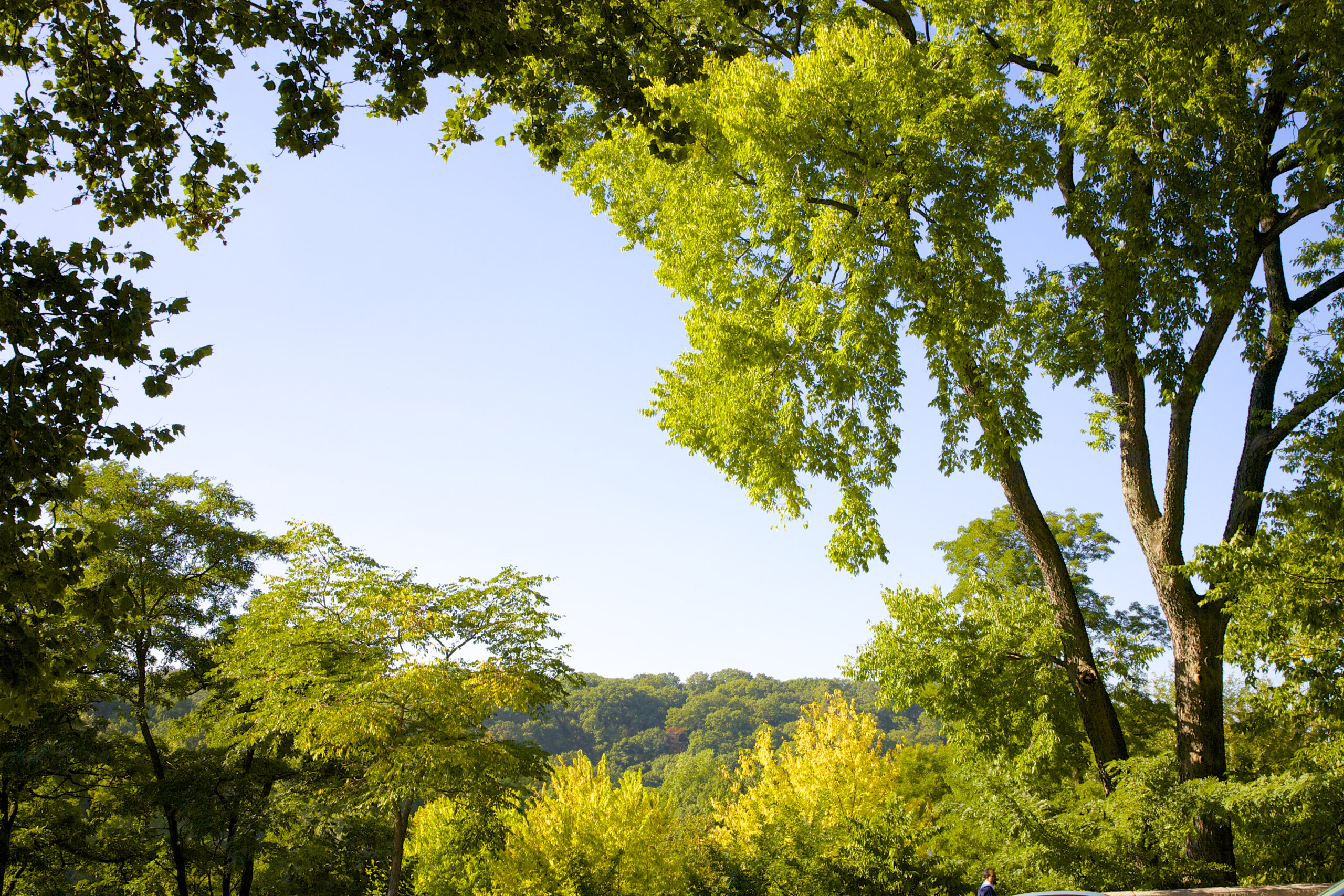 Inwood Hill Park, Manhattan - NYC Parks