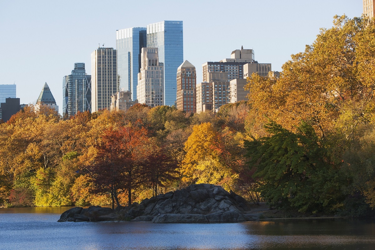 Queens Surpasses Brooklyn as Most Competitive Rental Market Amid Record