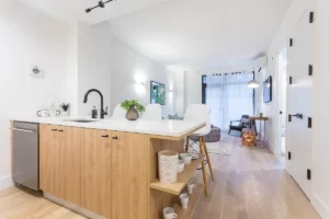 kitchen counter and living room in Mott Haven 1-bedroom - rentals in neighborhoods with rising inventory