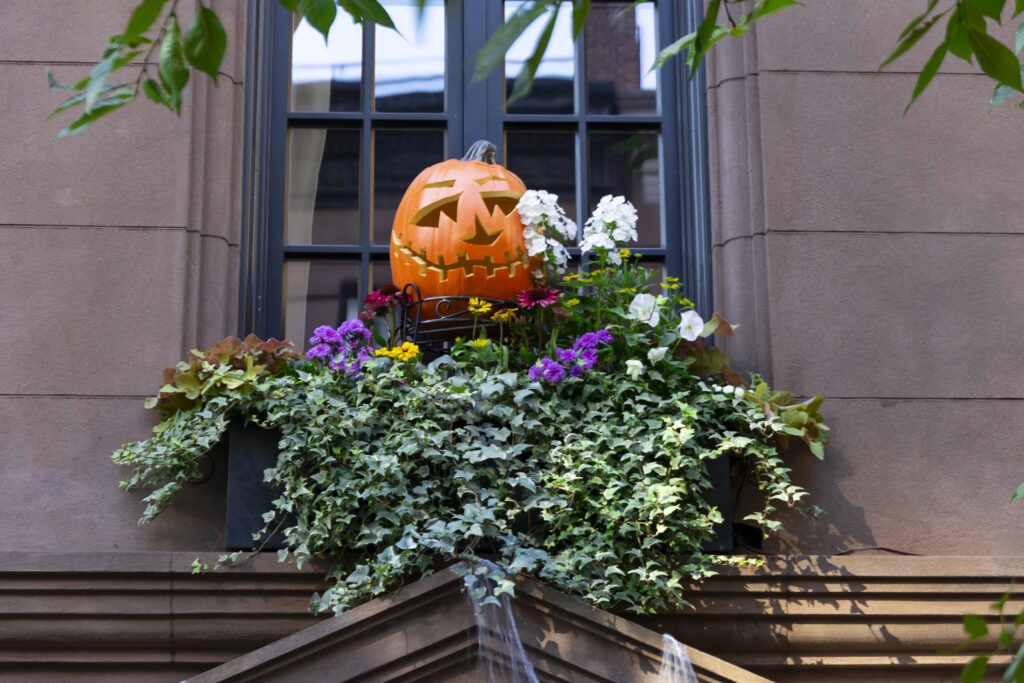 Jack-o-lantern window decoration on the Upper East Side.