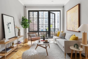 living room and balcony in downtown brooklyn homes under $1M