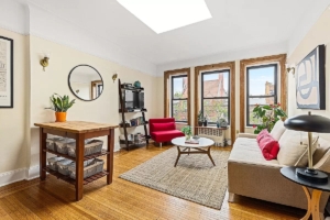living room in Park Slope 1-bedroom