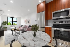 modern living room and kitchen in Crown Heights rentals