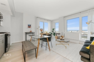 living room and kitchen in Flatbush 2-bedroom – apartments near Prospect Park
