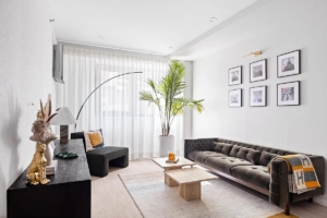 living room in Woodside condo - Queens homes under $750K
