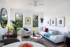 living room in Carroll Gardens 1-bedroom co-op
