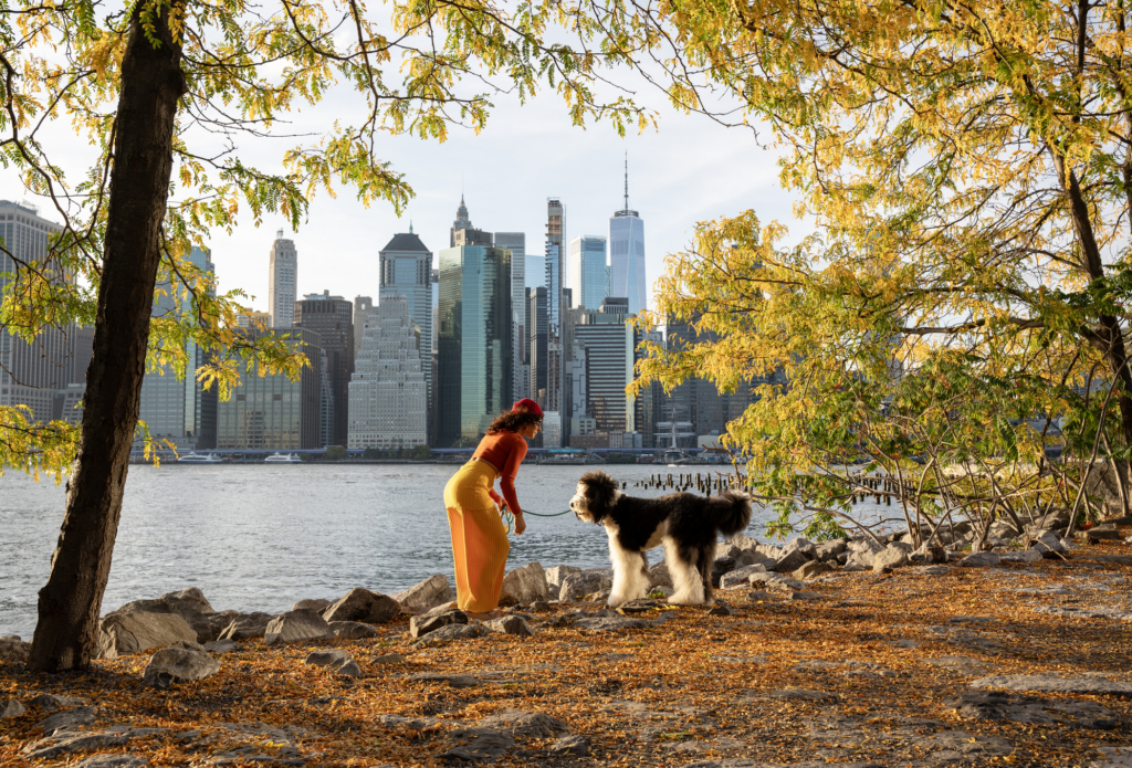 Woman walking with her sheepadoodle dog in Brooklyn Bridge Park with Manhatan skyline in background - best neighborhoods for dog lovers in NYC