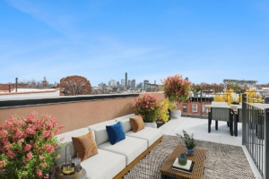 private rooftop deck at Park Slope 2-bedroom home - open houses for december 13 and 14
