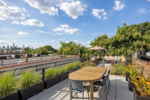 private rooftop terrace comes with Crown Heights 3-bedroom condo