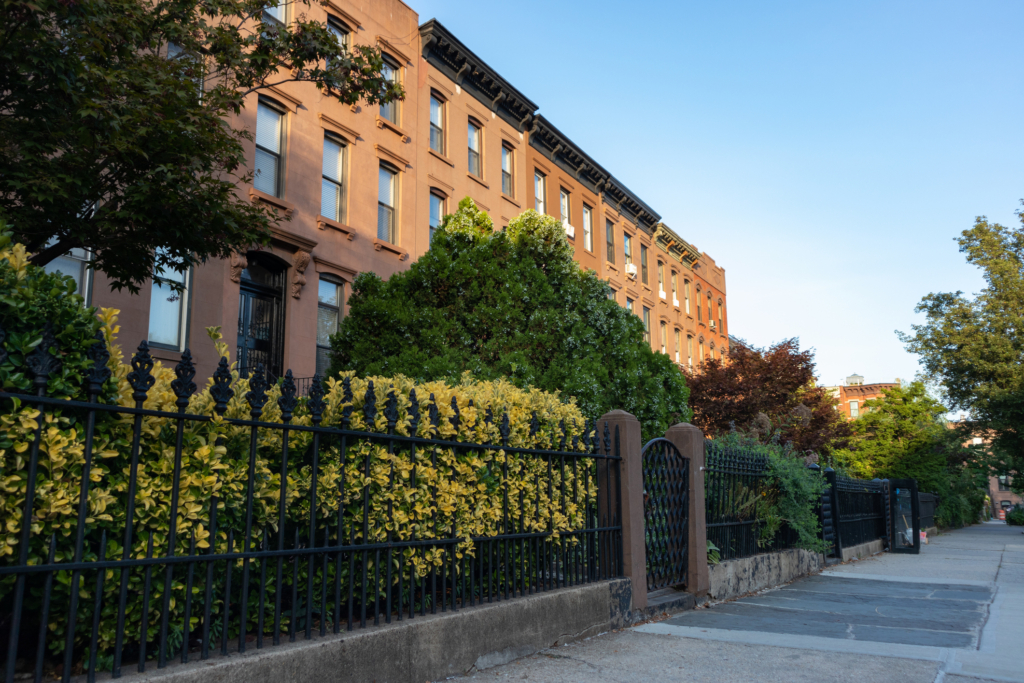 Brownstones with front gardens in Carroll Gardens, Brooklyn