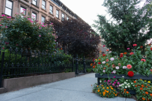 Colorful flowers and plants along a beautiful neighborhood sidewalk in Carroll Gardens, Brooklyn