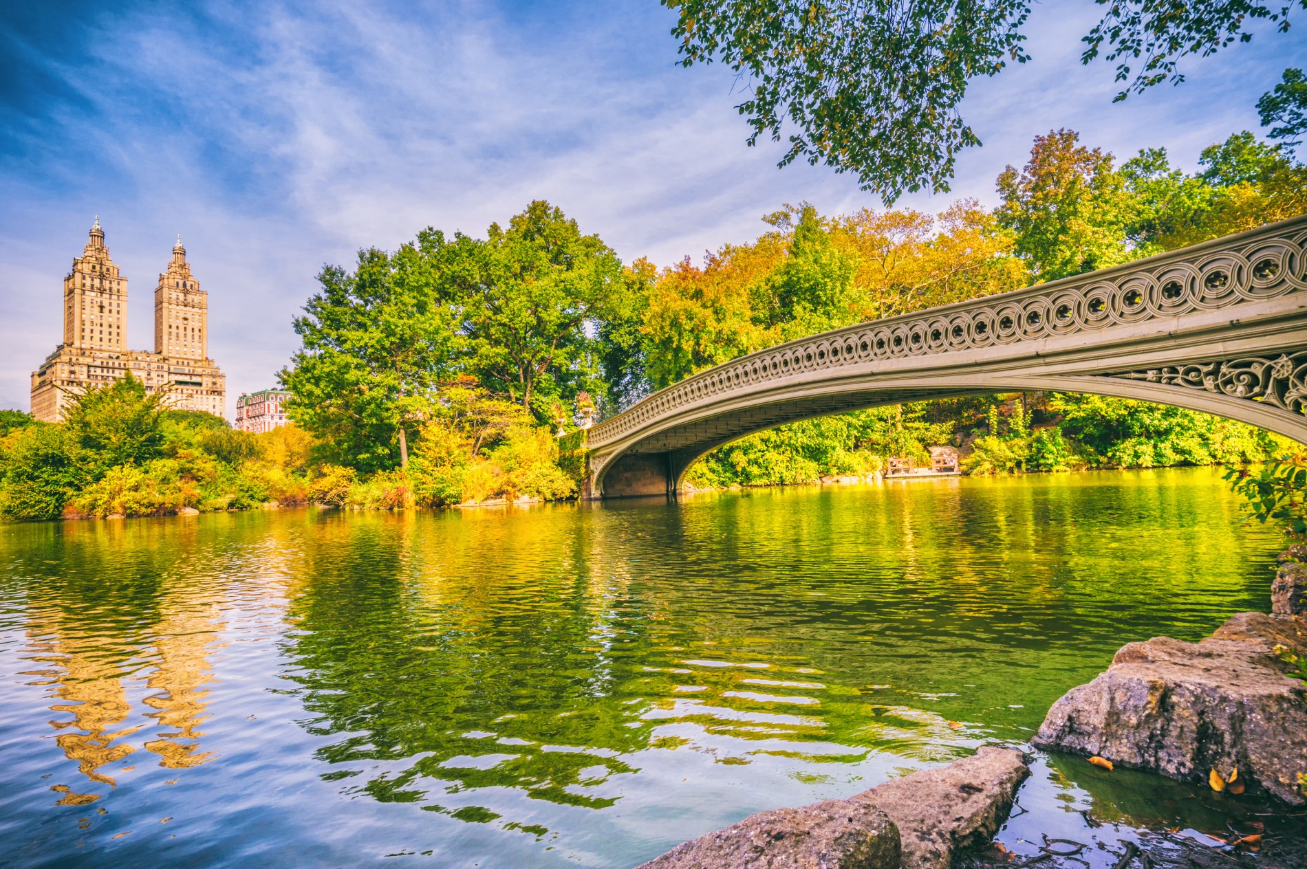 Cental Park Neighborhoods bow bridge in Central Park