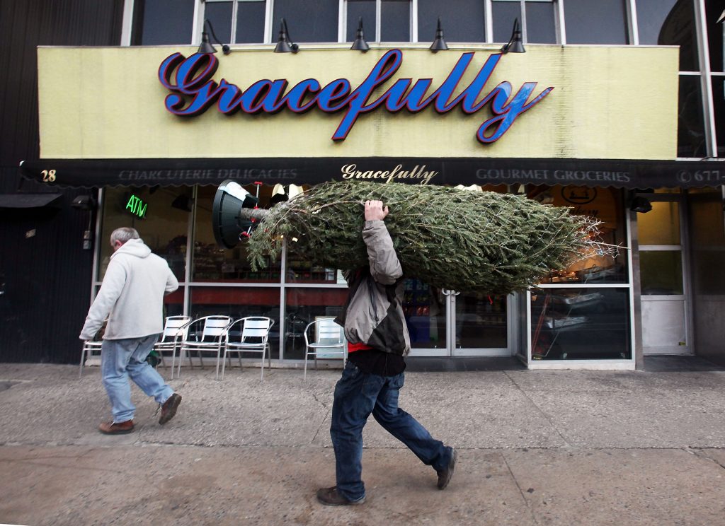 man carrying tree on Christmas in NYC