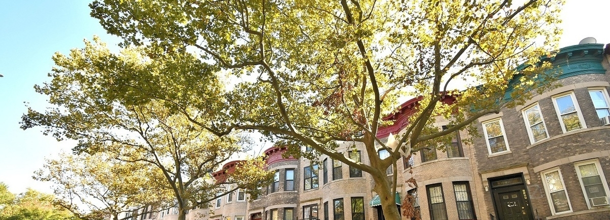 Weeksville Brooklyn Great Place to Live