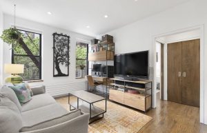 A photo of the living room at 93 Macdougal Street #8