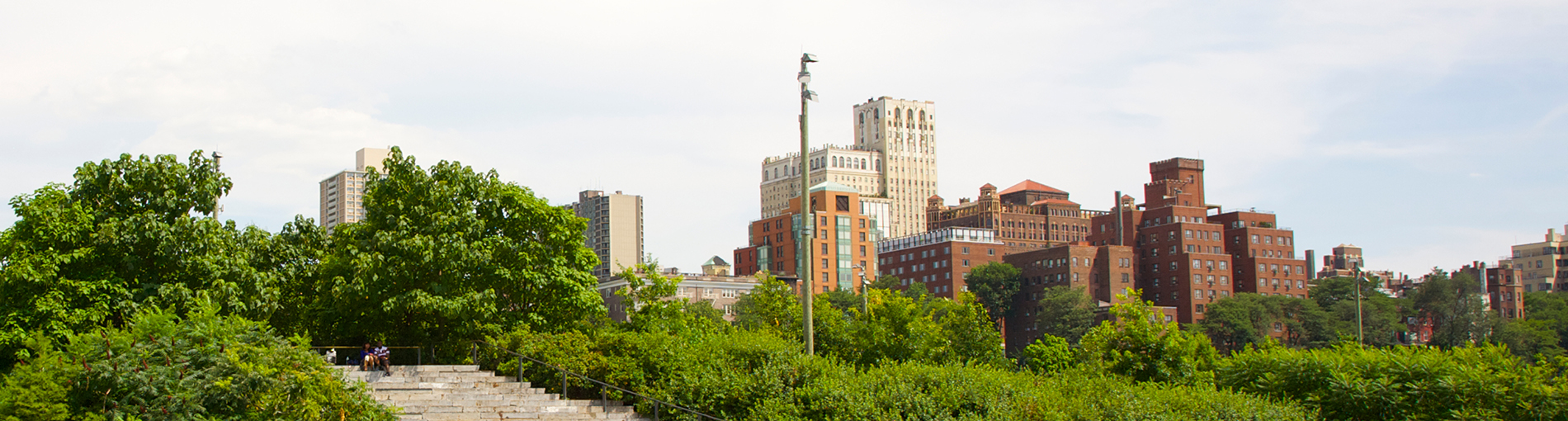 affordable rentals nyc - header image of nyc park and buildings
