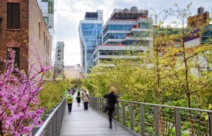 newest nyc neighborhoods - west chelsea high line