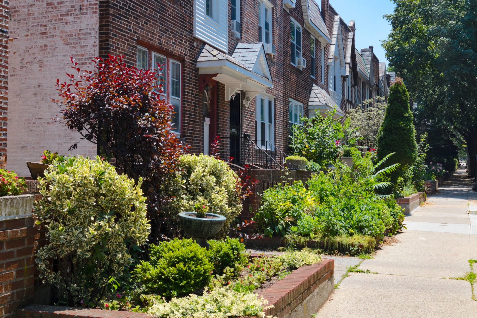 treelined street in sunnyside queens