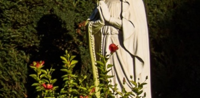 Bay Ridge Virgin Mary Statue