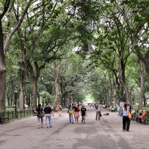Upper East Side Central Park