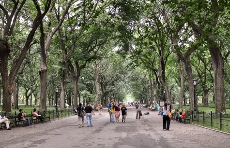 Upper East Side Central Park