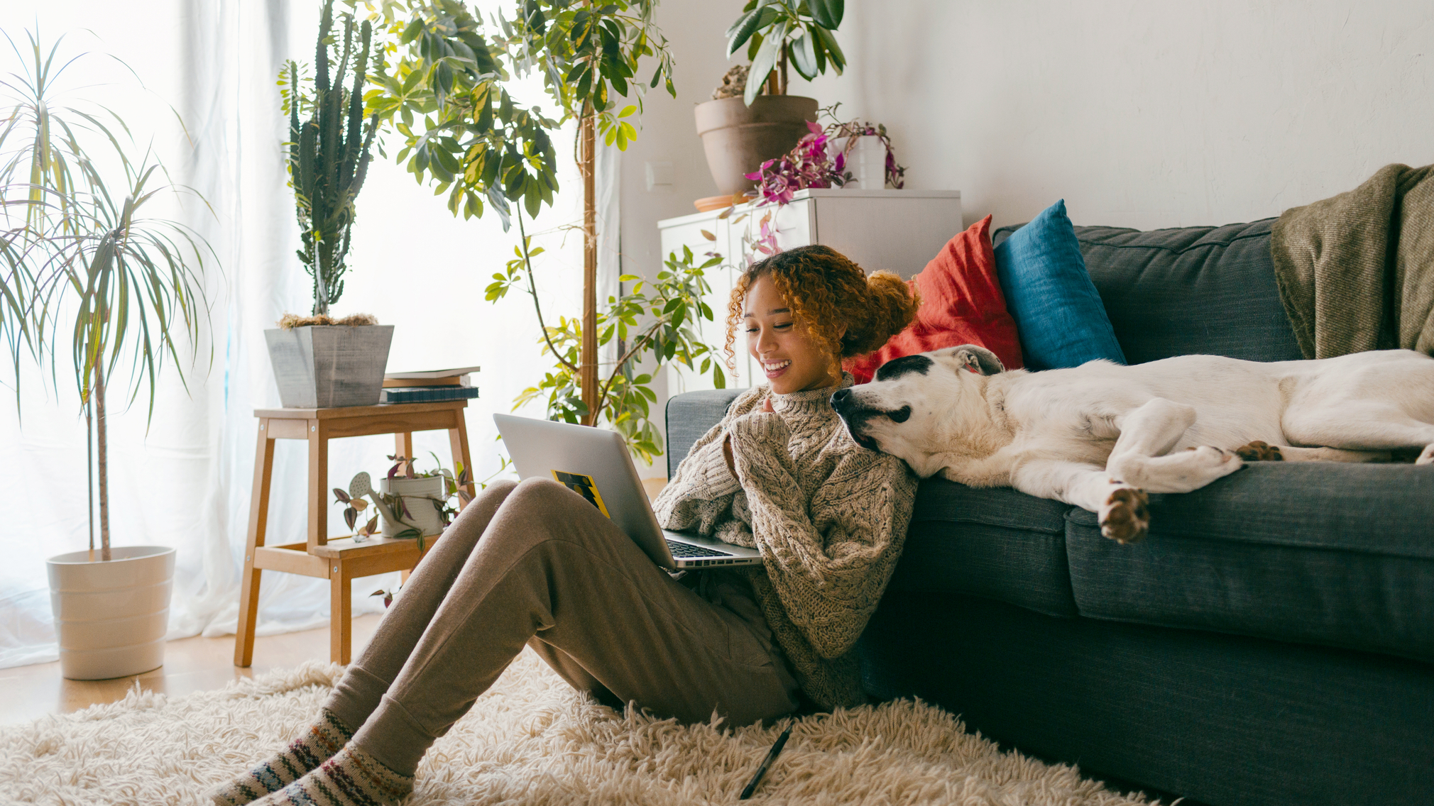 free credit report