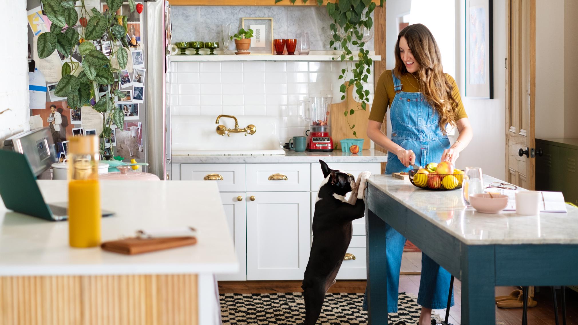 Bobs for dogs zillow store