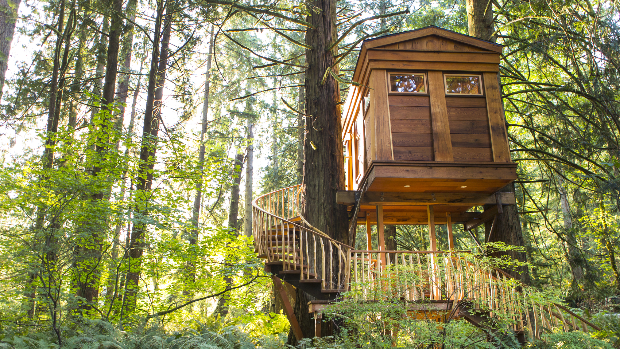 7 Grown-Up Treehouses You’ll Want to Call Home