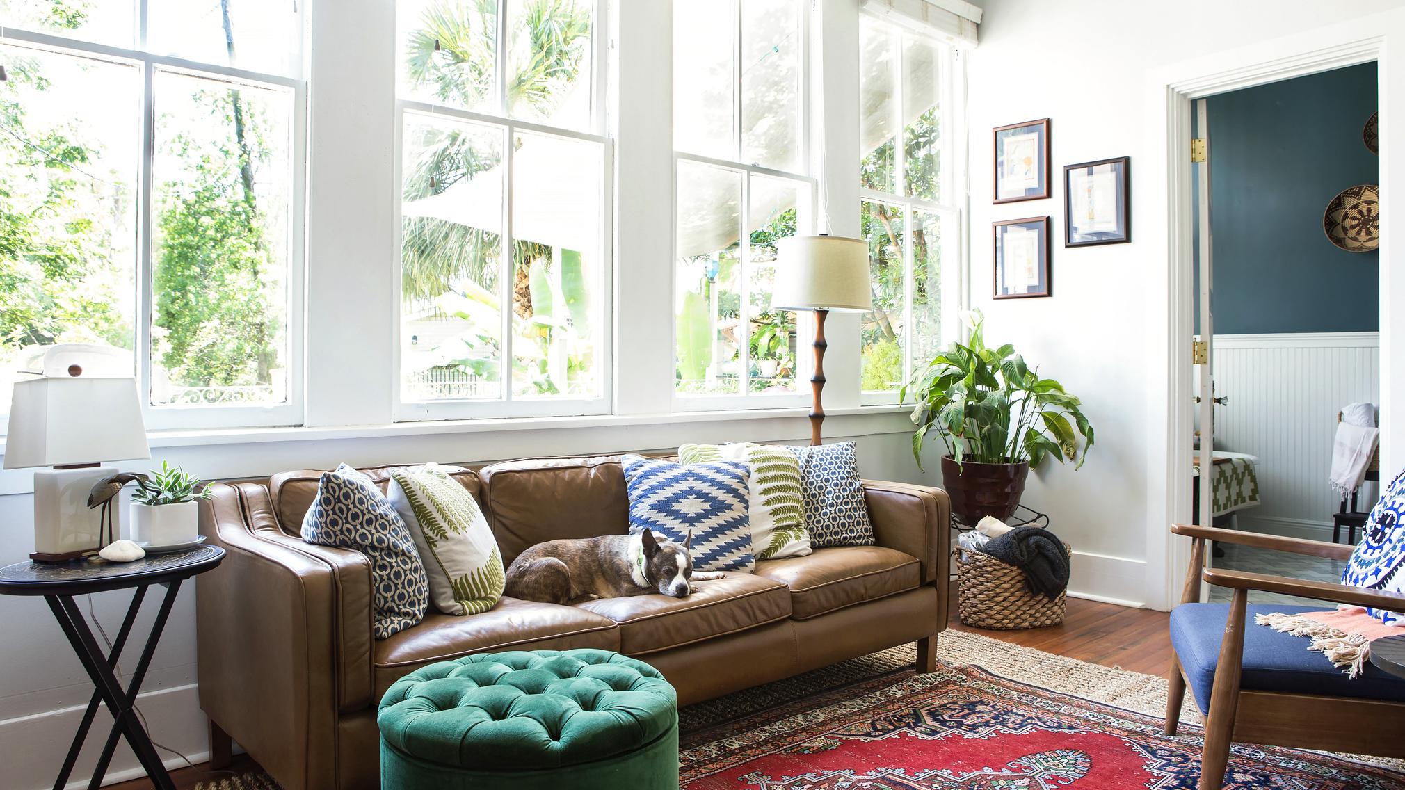 A dog asleep on a brown leather couch in a room painted white, with a red Persian rug and dark green ottoman.