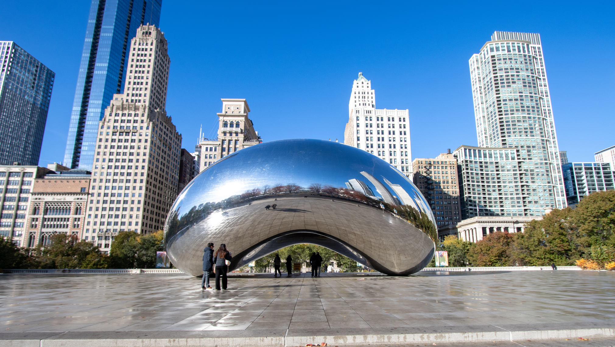 The Bean sculpture in Chicago.