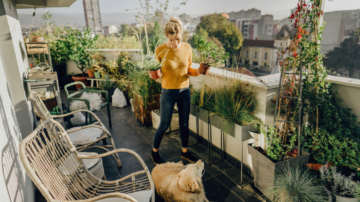 Quiz: Find Your Perfect Rental