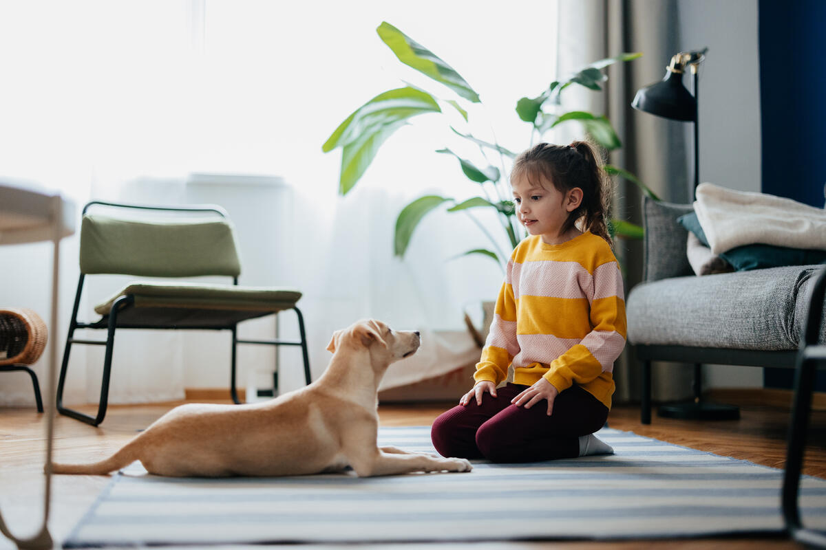 Does Renters Insurance Cover Pets?