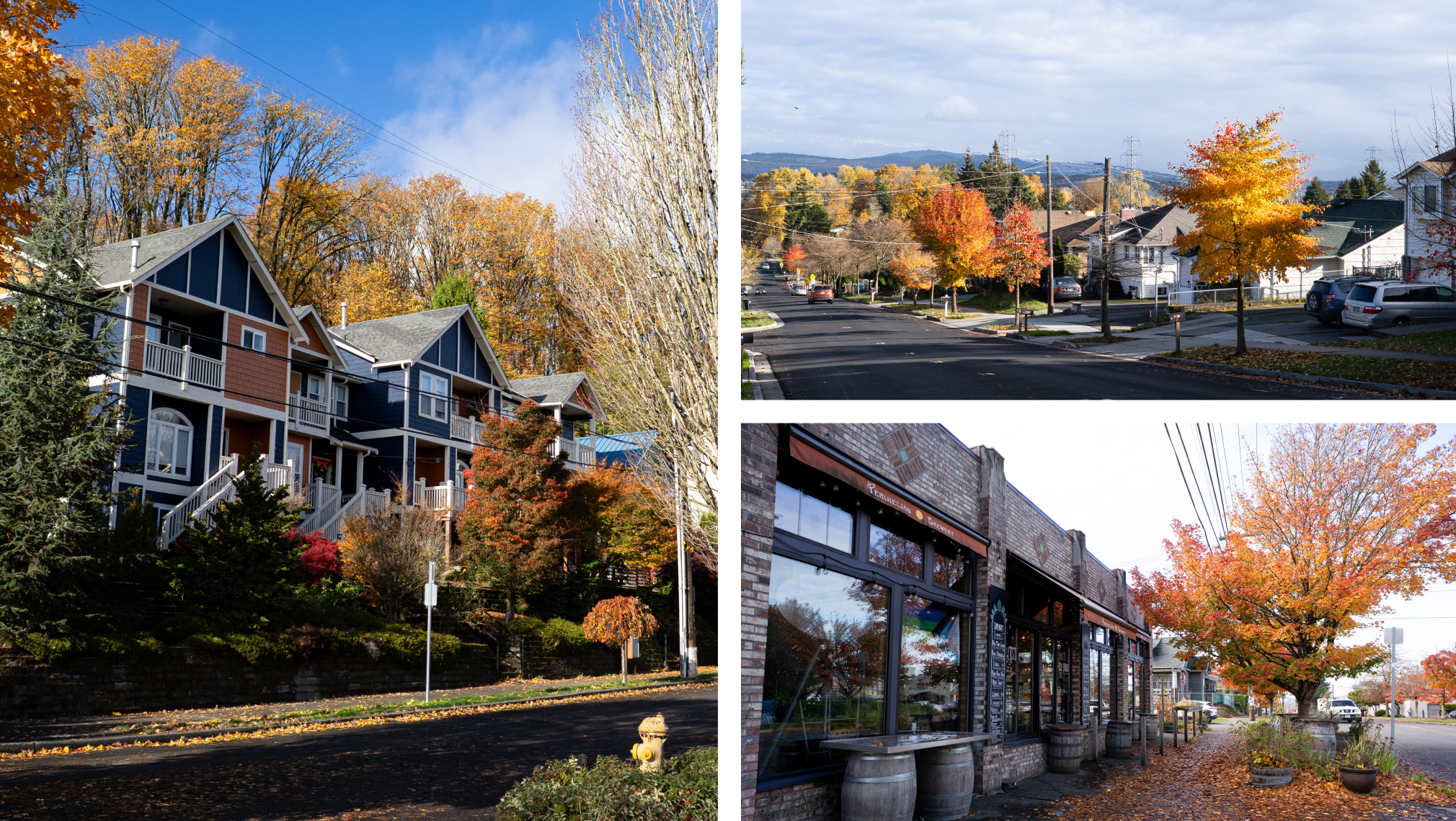 Three images of Beacon Hill, Seattle