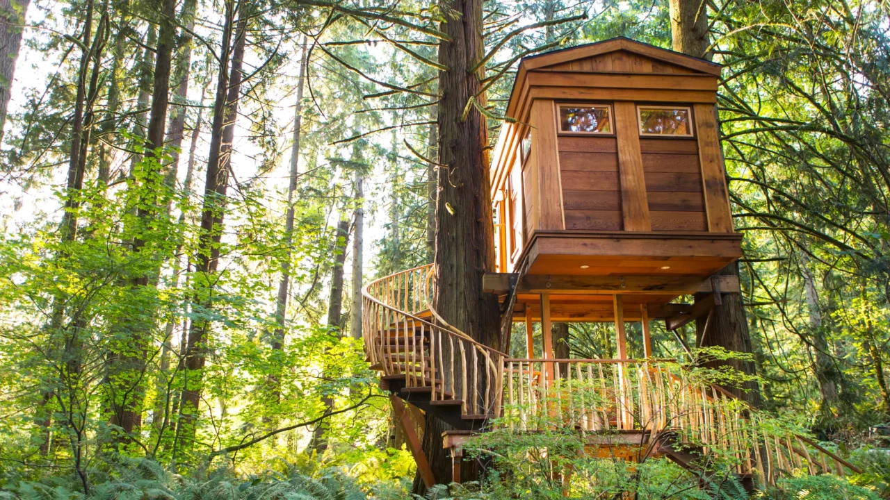 5 Grown-Up Treehouses You’ll Want to Call Home
