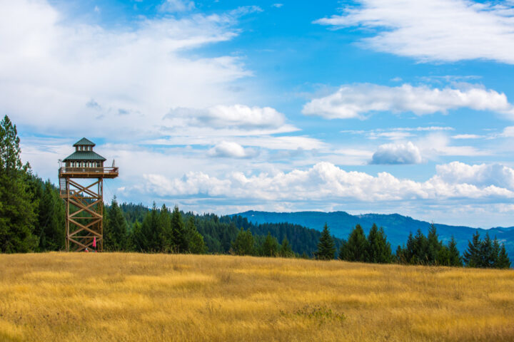 Putting Down Roots 40 Feet Up: Life in a Fire Lookout