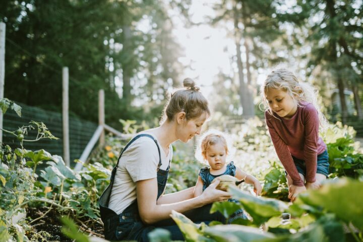 Do It Together: 5 Home Projects for You and Your Household Helpers