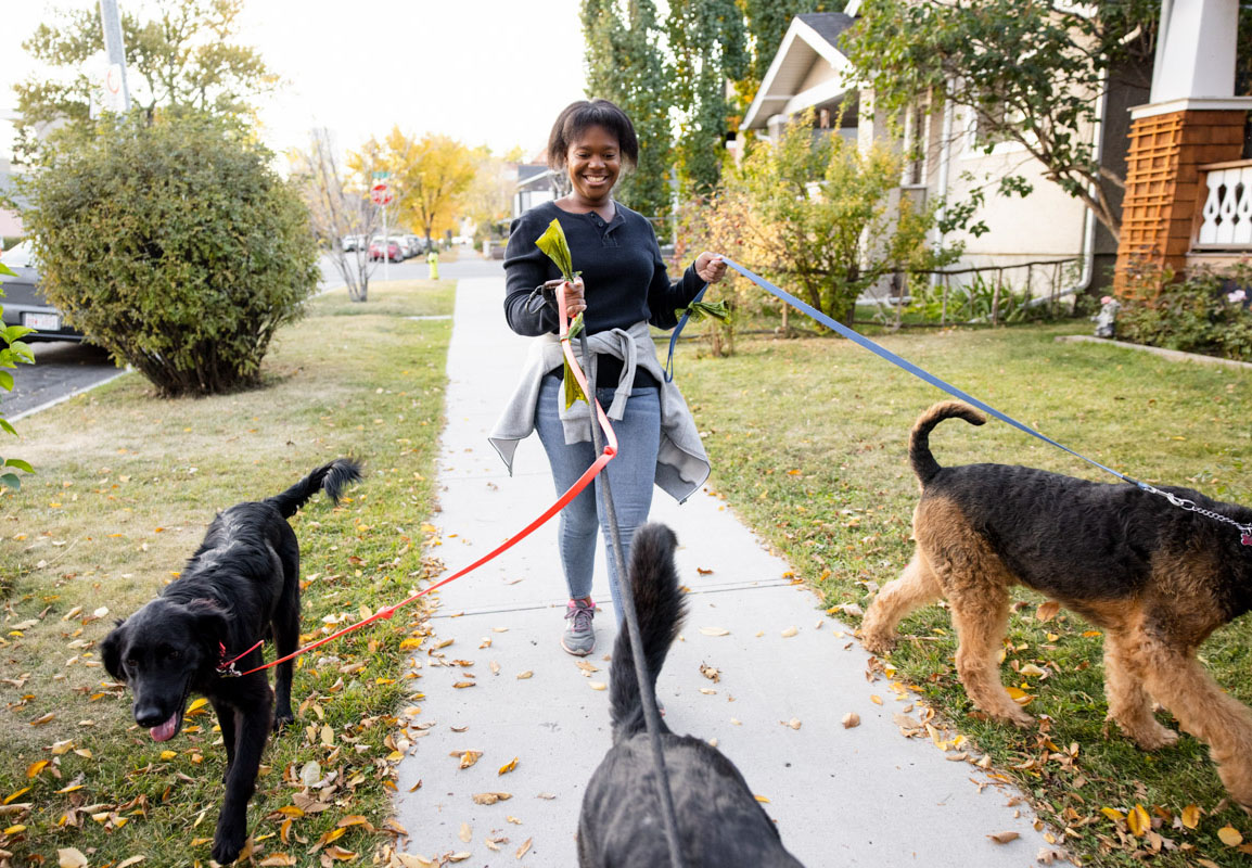 DogFriendly Cities 10 of the FastestEmerging Towns for Your Pet Zillow